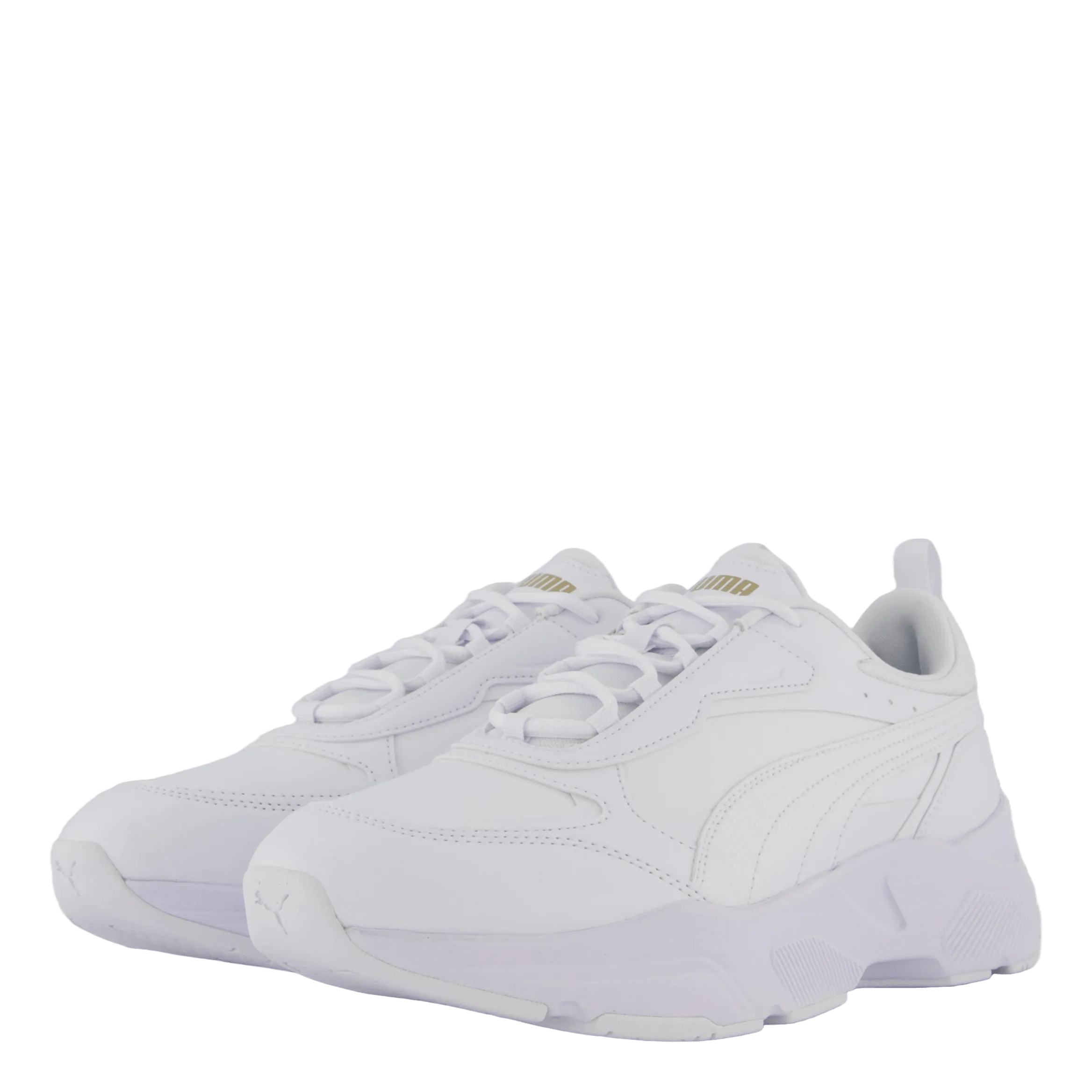 Cassia Sl Puma White-puma White-puma Tea