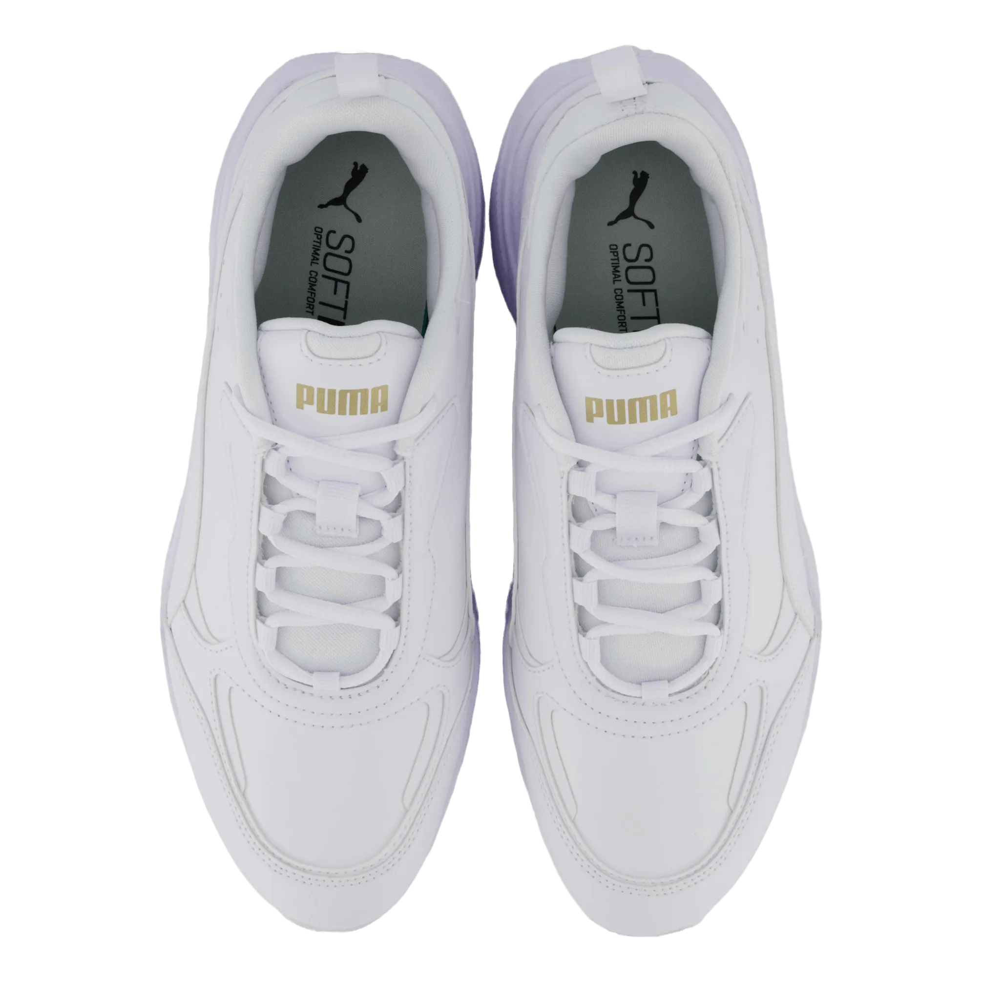 Cassia Sl Puma White-puma White-puma Tea